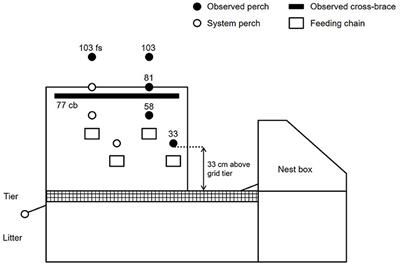 Linear Space Requirements and Perch Use of Conventional Layer Hybrids and Dual-Purpose Hens in an Aviary System